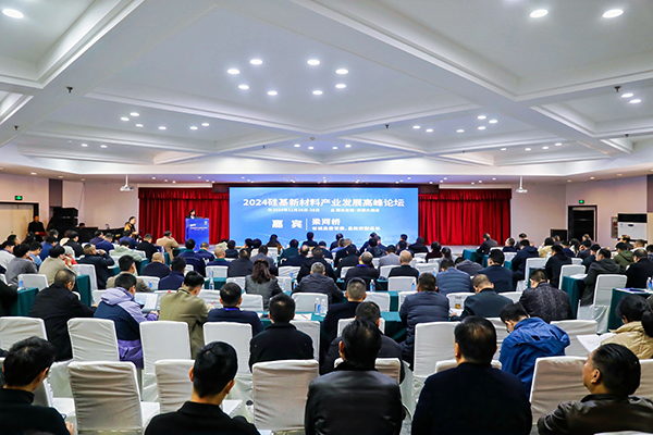 AG恒峰科技参加硅基新材料高峰论坛，分享高纯石英制备热工装备最新技术 (2).jpg